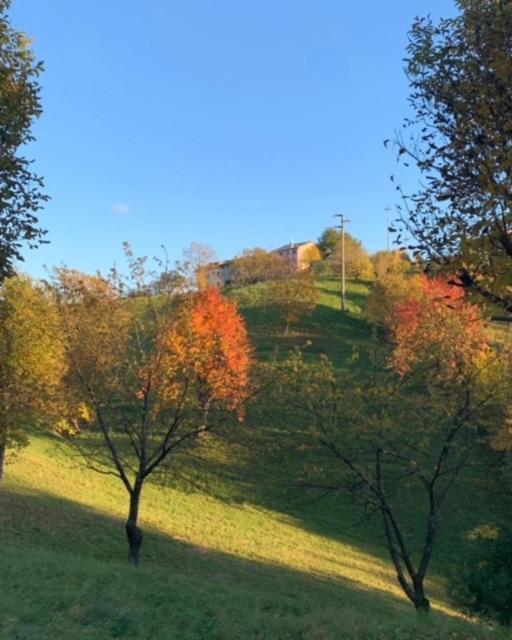 La Corte Di Cesio Monfumo Екстер'єр фото